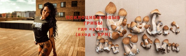 apvp Няндома