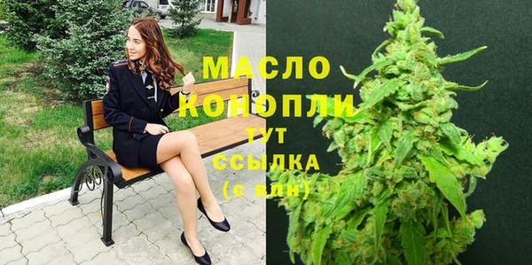 apvp Няндома