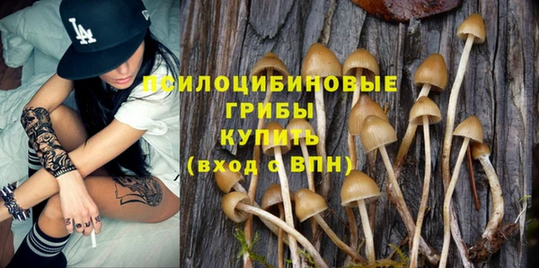 гидропоника Нязепетровск
