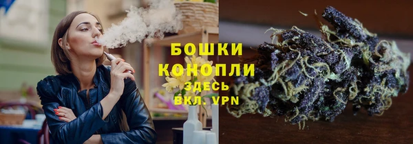 гидропоника Нязепетровск