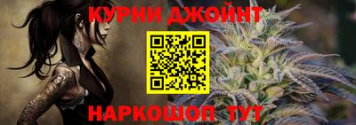сатива Новодвинск