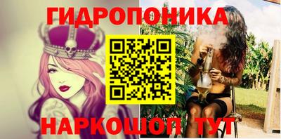 шишки Новозыбков