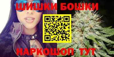 сатива Новодвинск